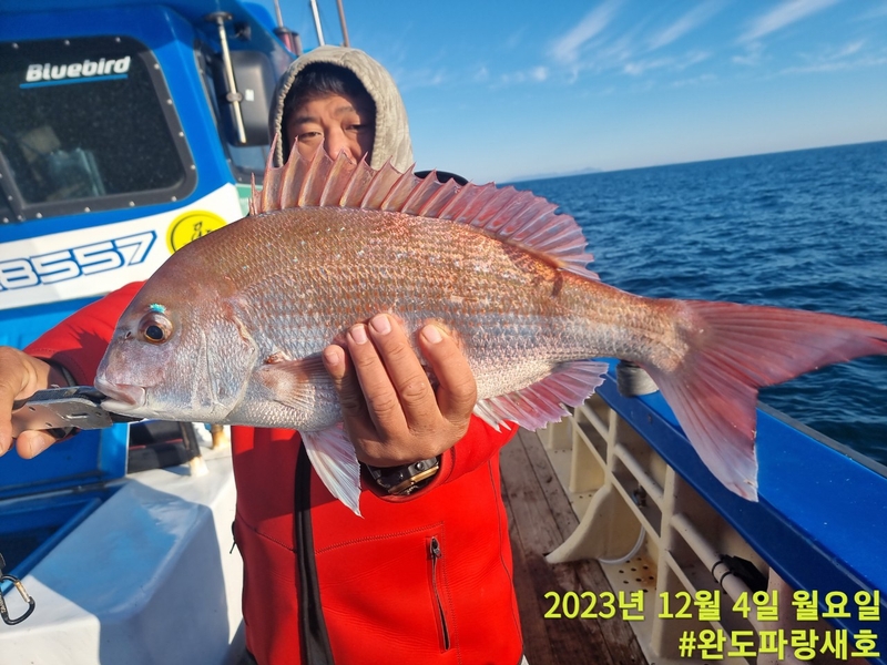 완도파랑새호(블루버드호)의 조황일지 이미지 - 3