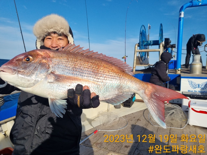 완도파랑새호(블루버드호)의 조황일지 이미지 - 4