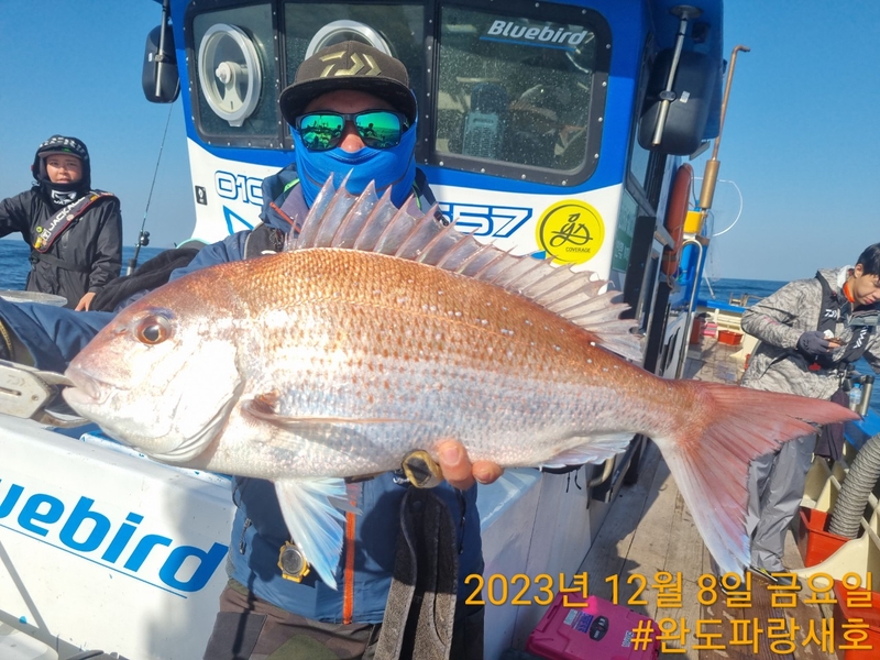 완도파랑새호(블루버드호)의 조황일지 이미지 - 1