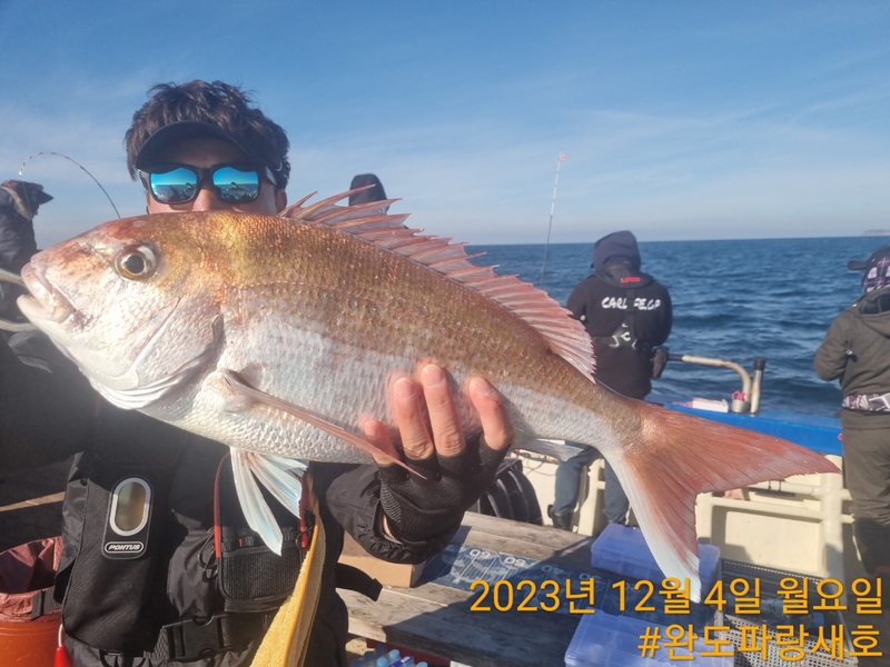 완도파랑새호(블루버드호)의 조황일지 이미지 - 12