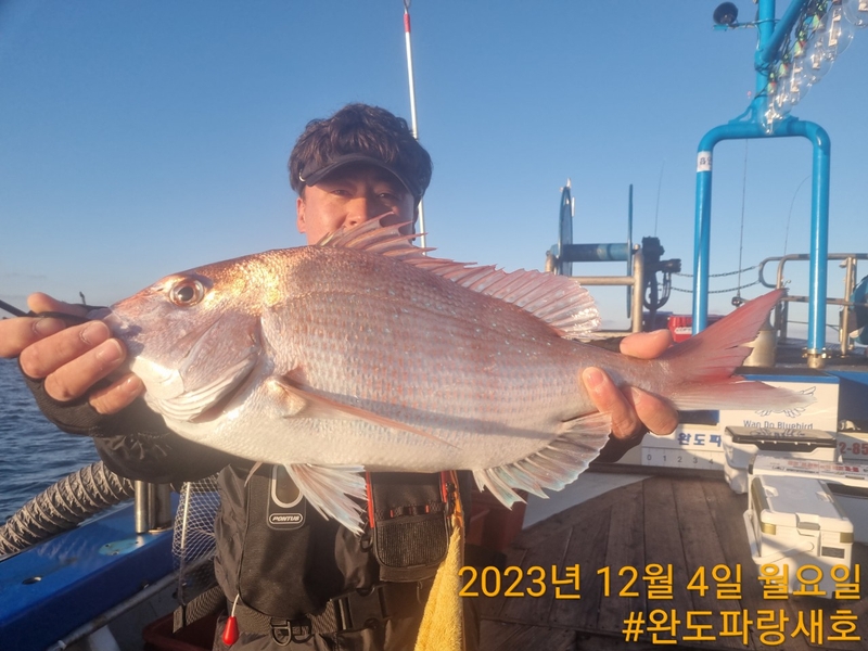 완도파랑새호(블루버드호)의 조황일지 이미지 - 17