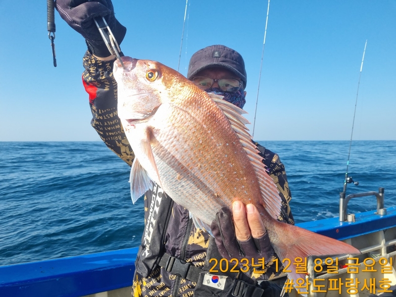 완도파랑새호(블루버드호)의 조황일지 이미지 - 11