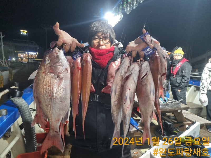 완도파랑새호(블루버드호)의 조황일지 이미지 - 1