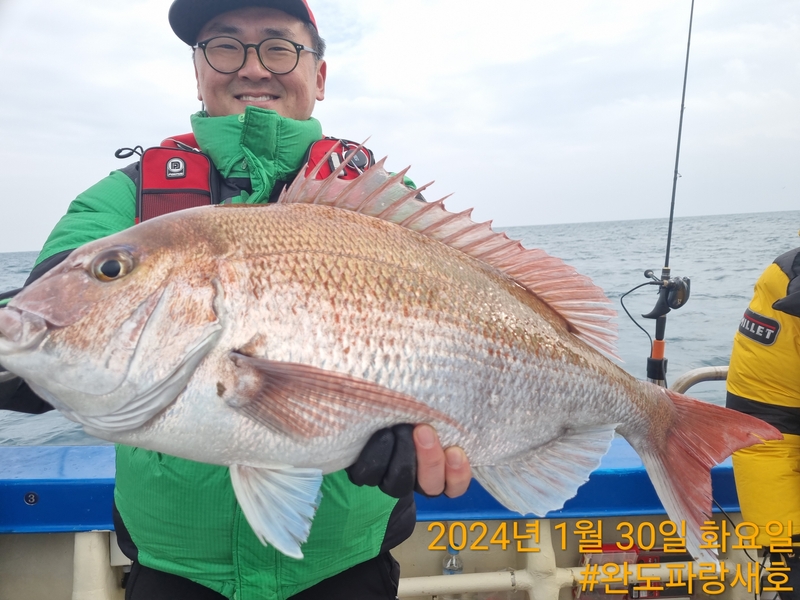 완도파랑새호(블루버드호)의 조황일지 이미지 - 8