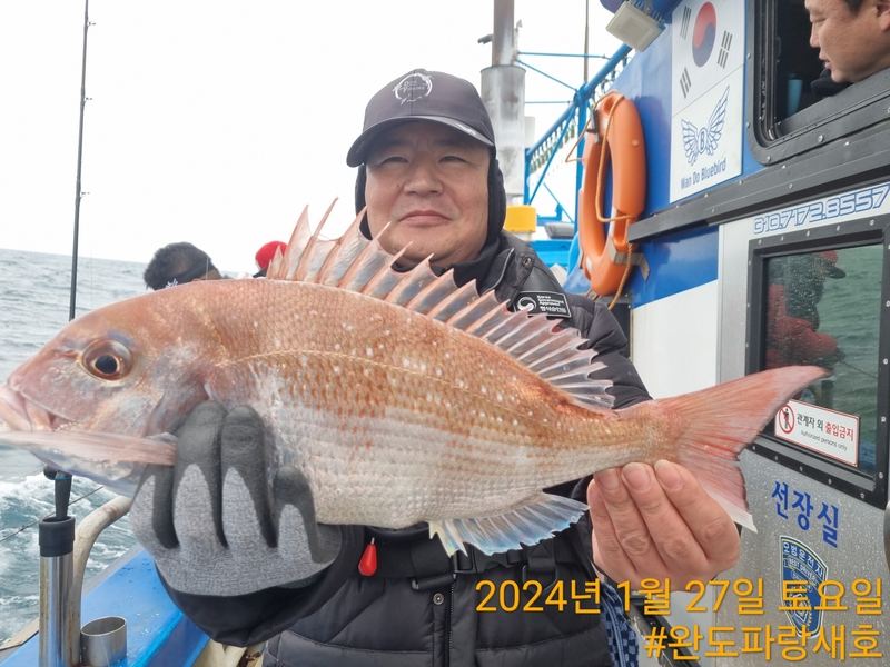 완도파랑새호(블루버드호)의 조황일지 이미지 - 6