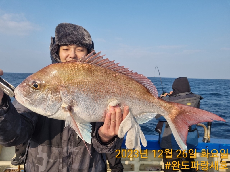 완도파랑새호(블루버드호)의 조황일지 이미지 - 5