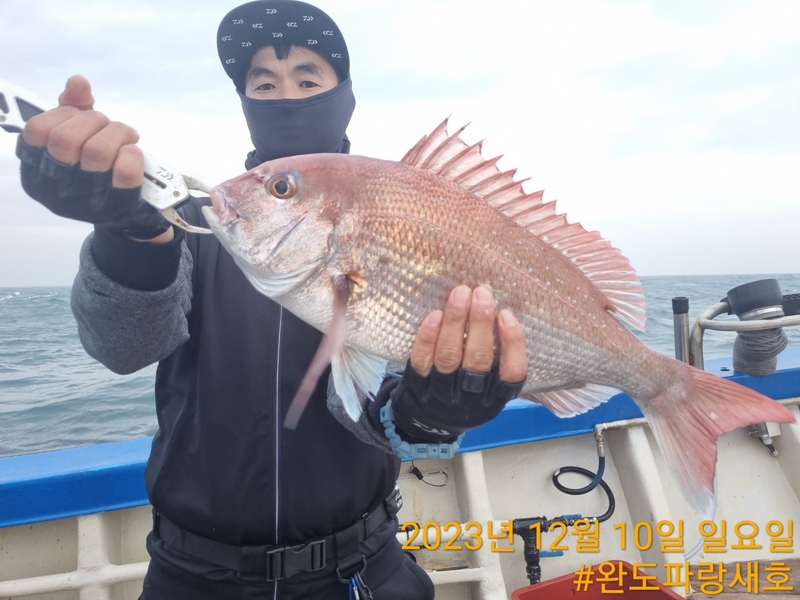 완도파랑새호(블루버드호)의 조황일지 이미지 - 8