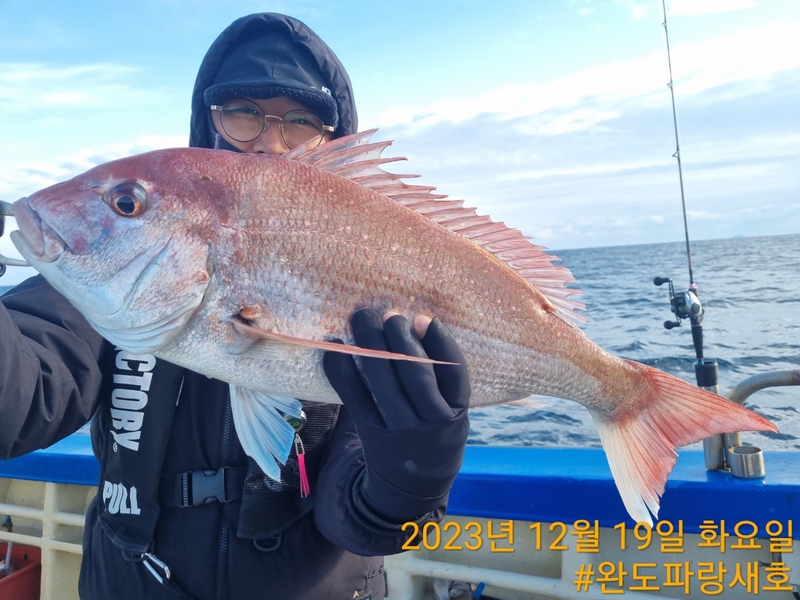 완도파랑새호(블루버드호)의 조황일지 이미지 - 13