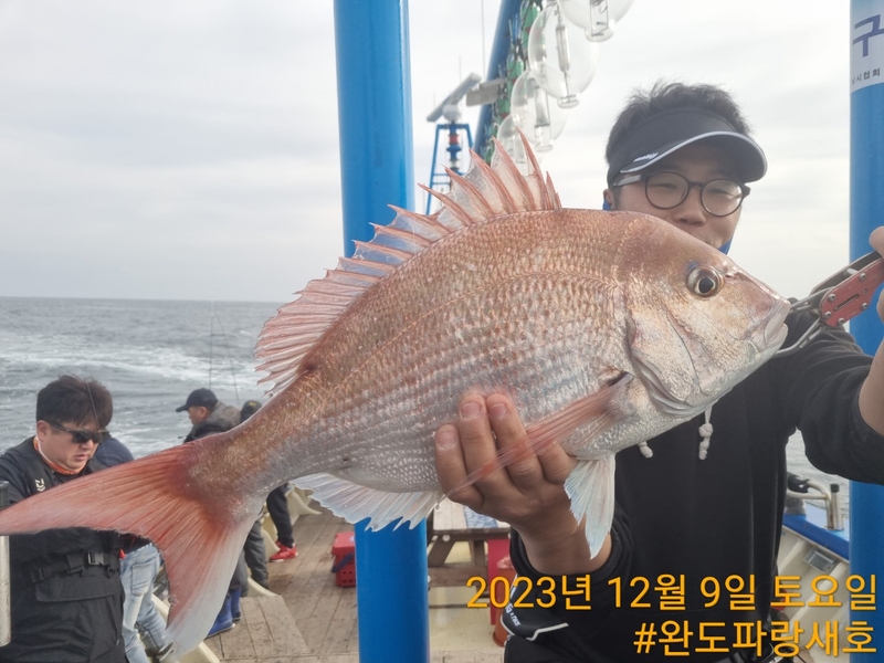 완도파랑새호(블루버드호)의 조황일지 이미지 - 4