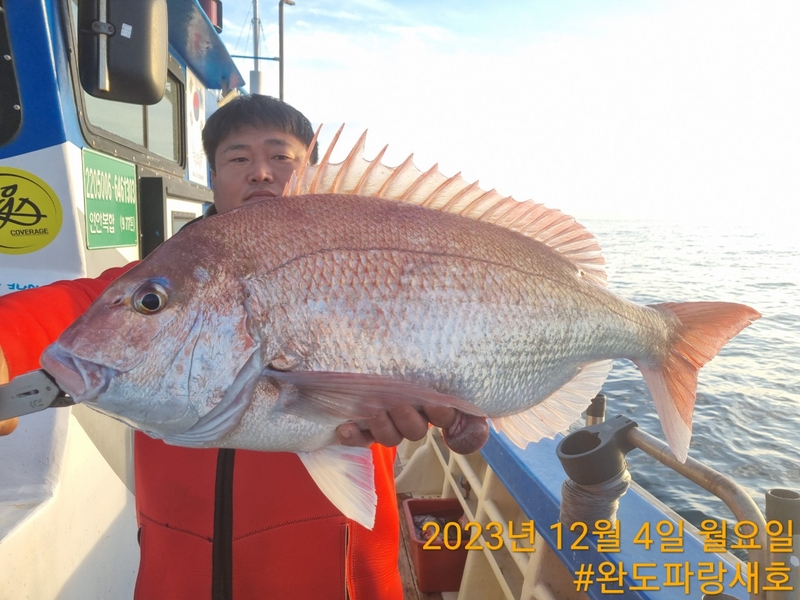 완도파랑새호(블루버드호)의 조황일지 이미지 - 1