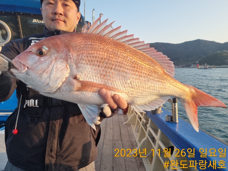 완도파랑새호(블루버드호)의 조황일지 이미지 - 3