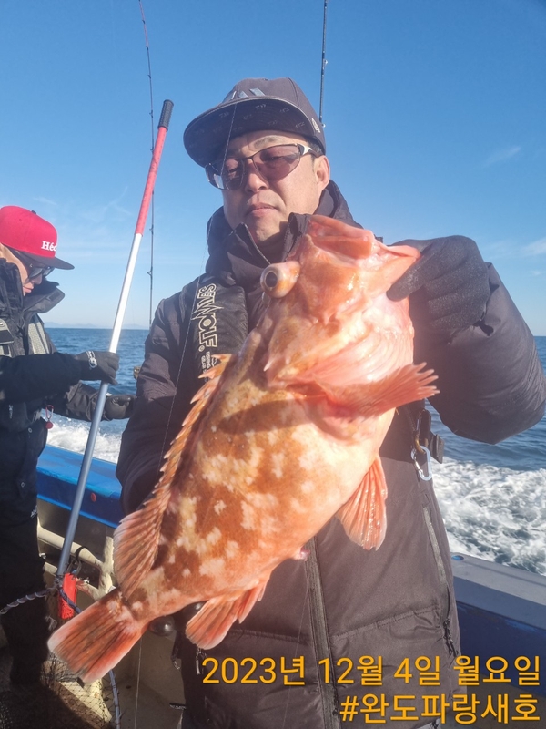 완도파랑새호(블루버드호)의 조황일지 이미지 - 8