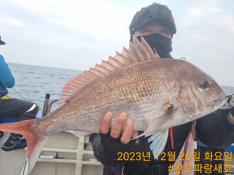 완도파랑새호(블루버드호)의 조황일지 이미지 - 13