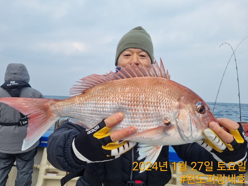 완도파랑새호(블루버드호)의 조황일지 이미지 - 4