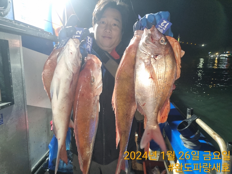 완도파랑새호(블루버드호)의 조황일지 이미지 - 3