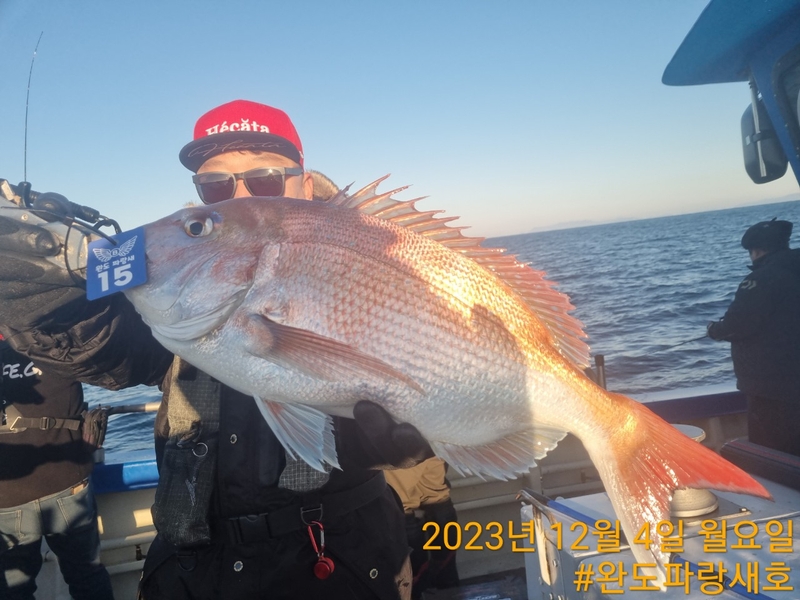 완도파랑새호(블루버드호)의 조황일지 이미지 - 19