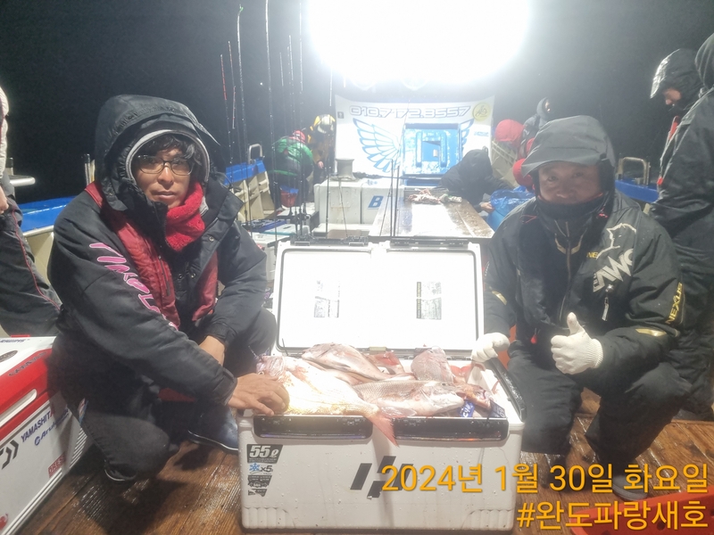 완도파랑새호(블루버드호)의 조황일지 이미지 - 5