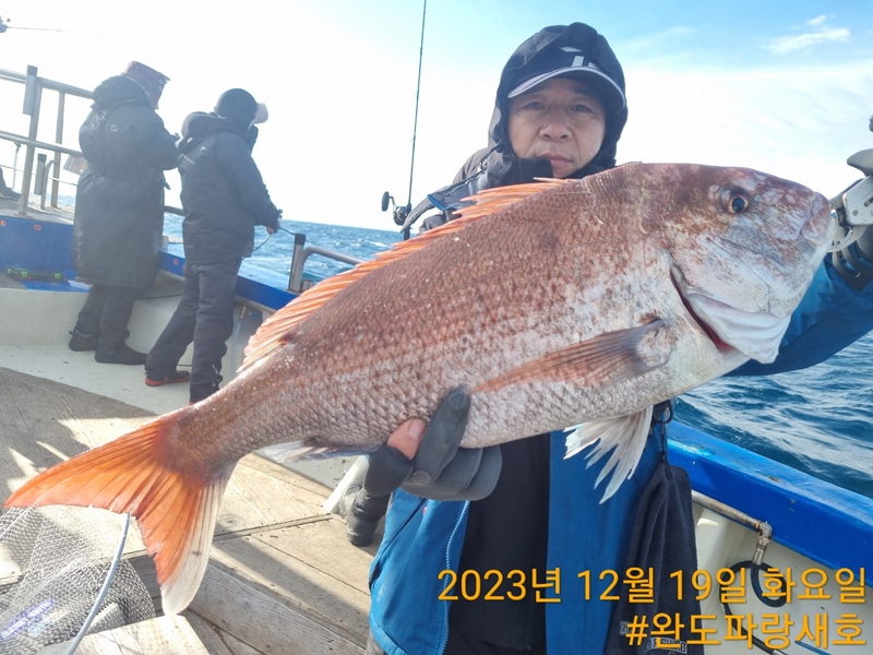 완도파랑새호(블루버드호)의 조황일지 이미지 - 3