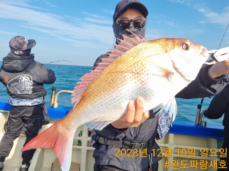 완도파랑새호(블루버드호)의 조황일지 이미지 - 13