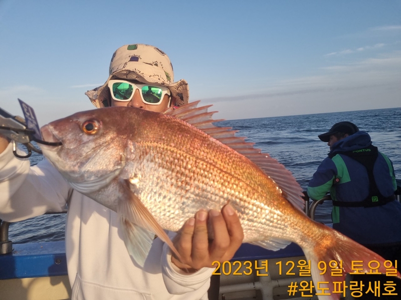 완도파랑새호(블루버드호)의 조황일지 이미지 - 13