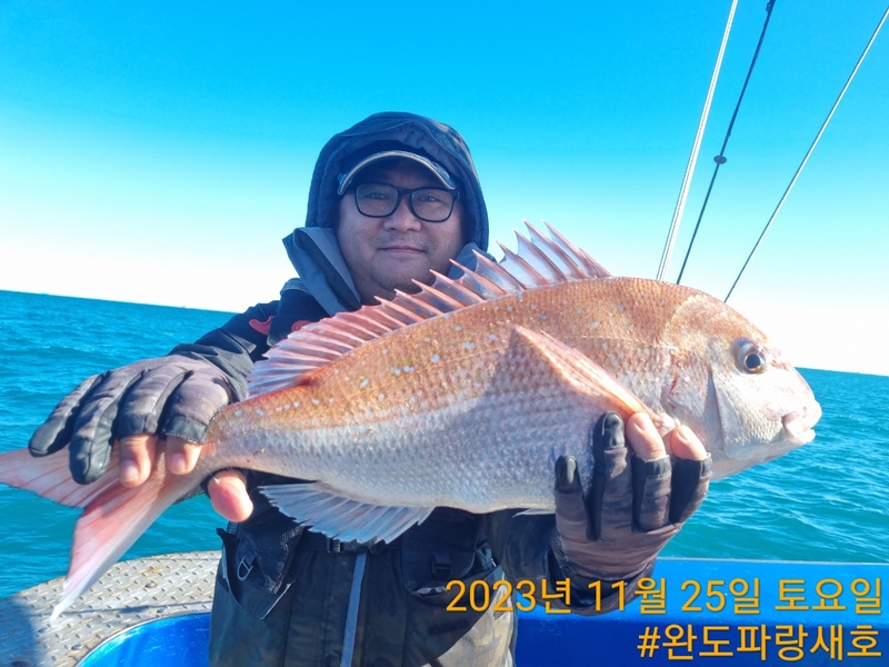 완도파랑새호(블루버드호)의 조황일지 이미지 - 2