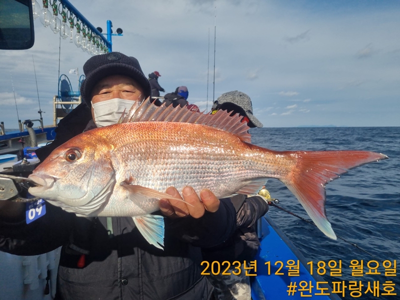 완도파랑새호(블루버드호)의 조황일지 이미지 - 7