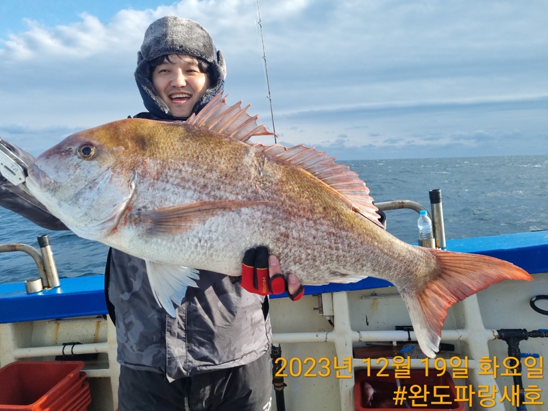 완도파랑새호(블루버드호)의 조황일지 이미지 - 5