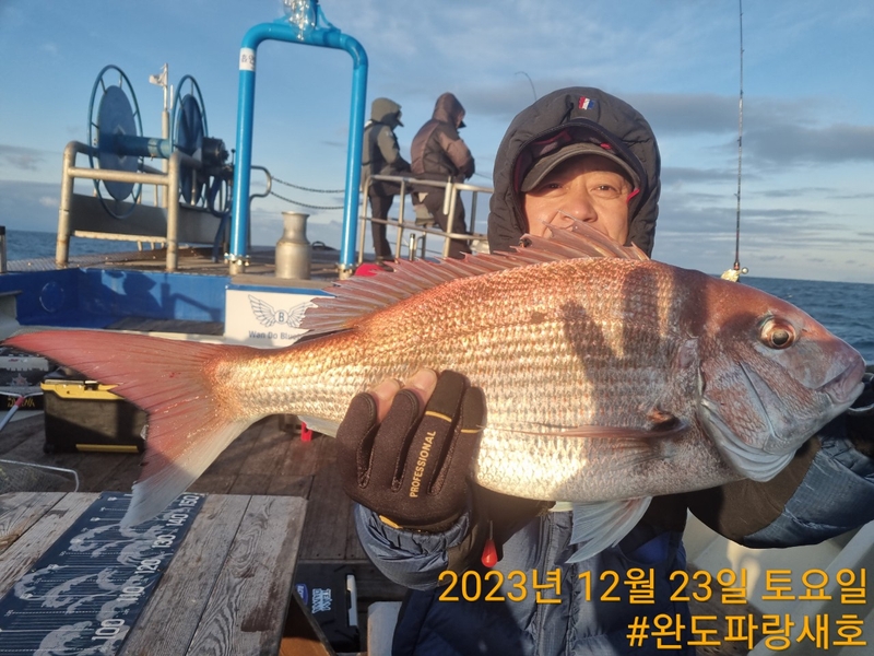 완도파랑새호(블루버드호)의 조황일지 이미지 - 13