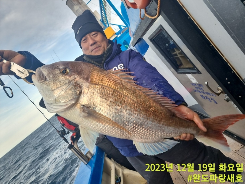 완도파랑새호(블루버드호)의 조황일지 이미지 - 2