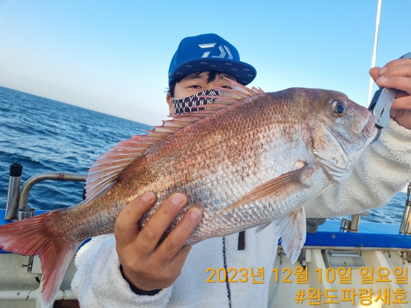 완도파랑새호(블루버드호)의 조황일지 이미지 - 1