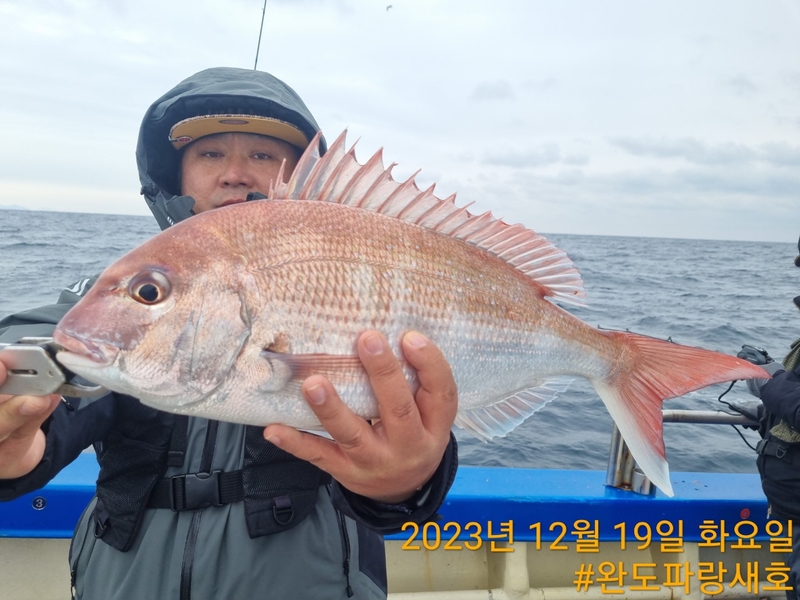 완도파랑새호(블루버드호)의 조황일지 이미지 - 7