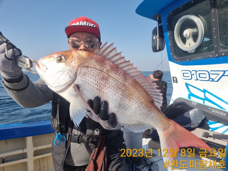 완도파랑새호(블루버드호)의 조황일지 이미지 - 3