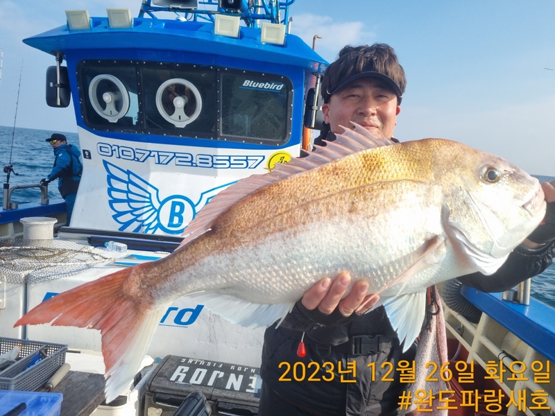 완도파랑새호(블루버드호)의 조황일지 이미지 - 6