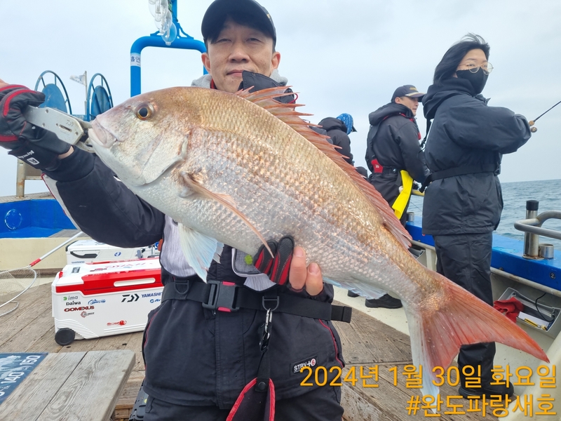 완도파랑새호(블루버드호)의 조황일지 이미지 - 9