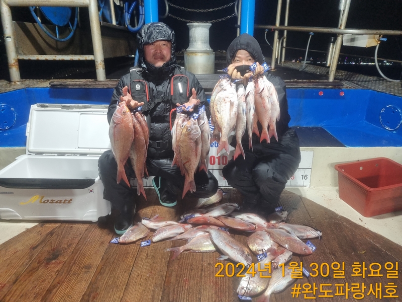 완도파랑새호(블루버드호)의 조황일지 이미지 - 12