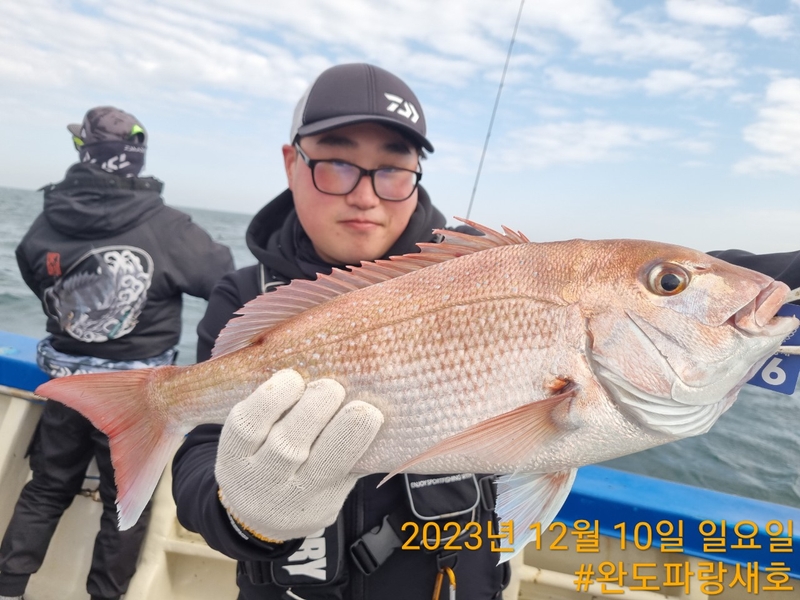 완도파랑새호(블루버드호)의 조황일지 이미지 - 2