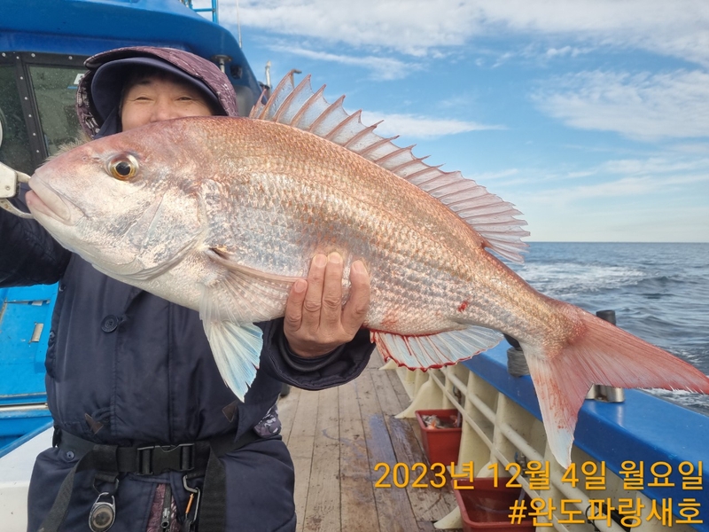 완도파랑새호(블루버드호)의 조황일지 이미지 - 4