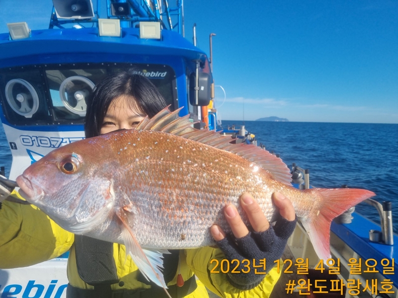 완도파랑새호(블루버드호)의 조황일지 이미지 - 14