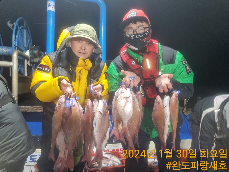 완도파랑새호(블루버드호)의 조황일지 이미지 - 4