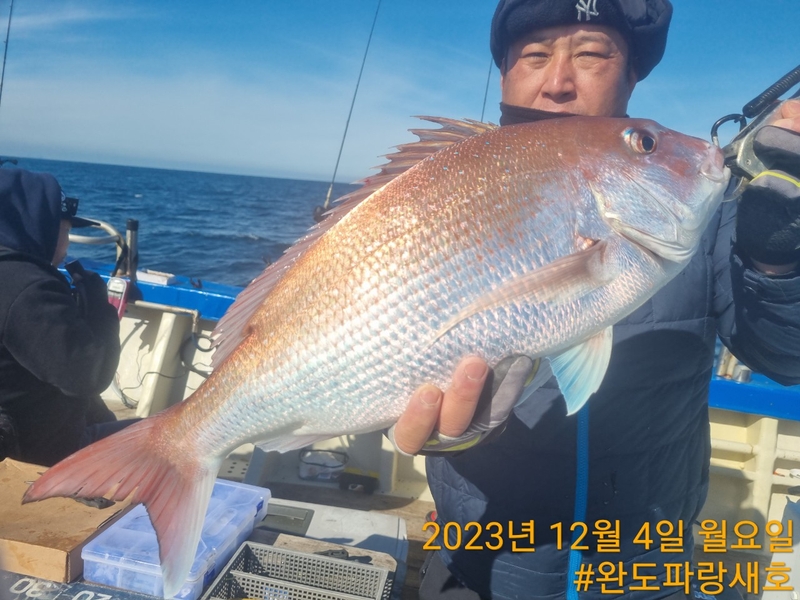 완도파랑새호(블루버드호)의 조황일지 이미지 - 11