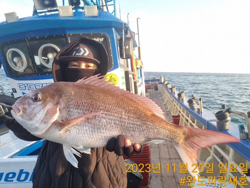 완도파랑새호(블루버드호)의 조황일지 이미지 - 2