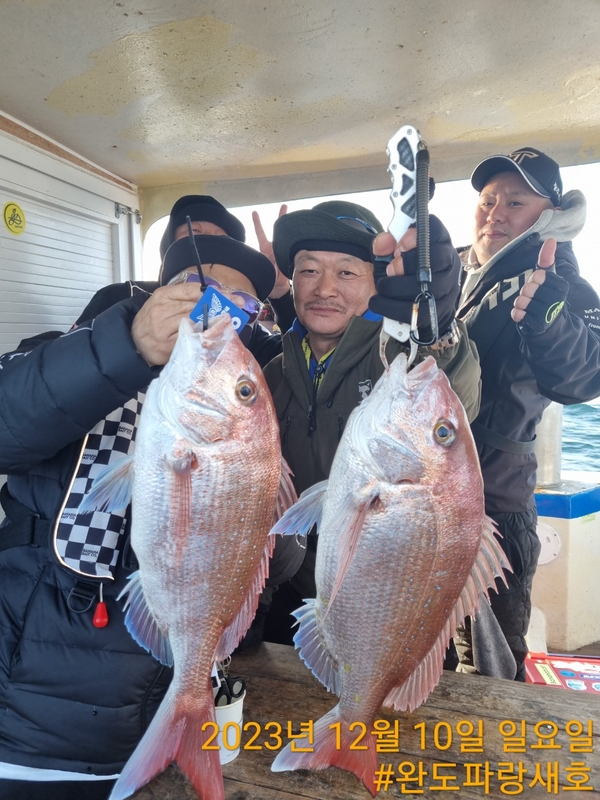 완도파랑새호(블루버드호)의 조황일지 이미지 - 9