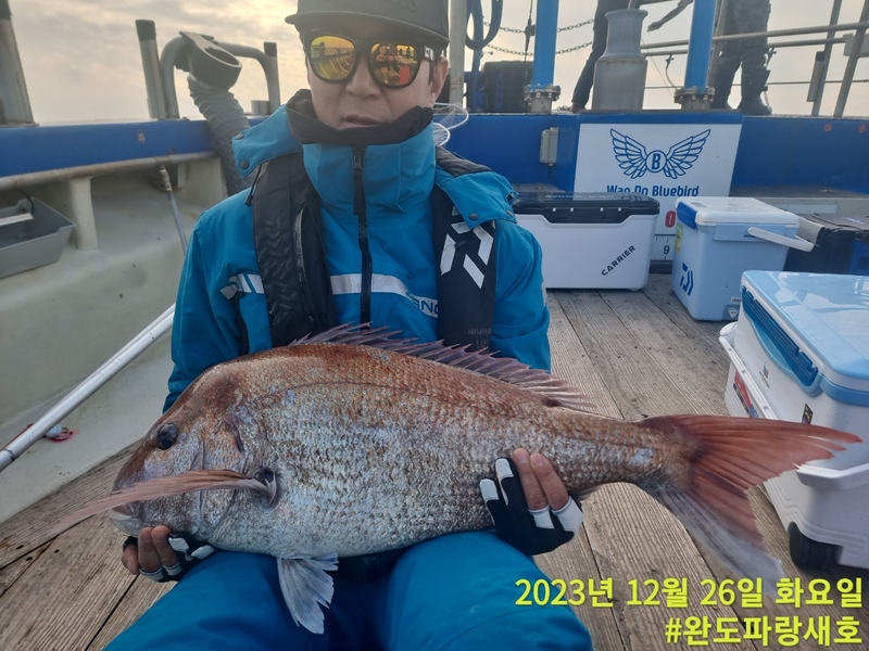 완도파랑새호(블루버드호)의 조황일지 이미지 - 2