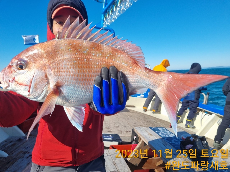 완도파랑새호(블루버드호)의 조황일지 이미지 - 1