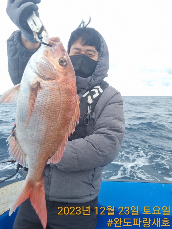 완도파랑새호(블루버드호)의 조황일지 이미지 - 7