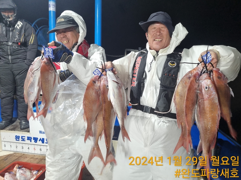 완도파랑새호(블루버드호)의 조황일지 이미지 - 8