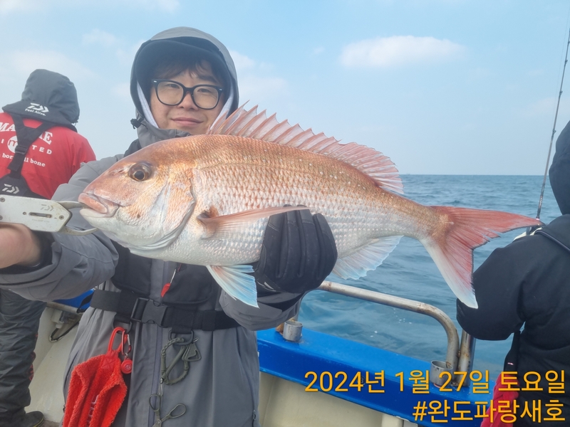 완도파랑새호(블루버드호)의 조황일지 이미지 - 5