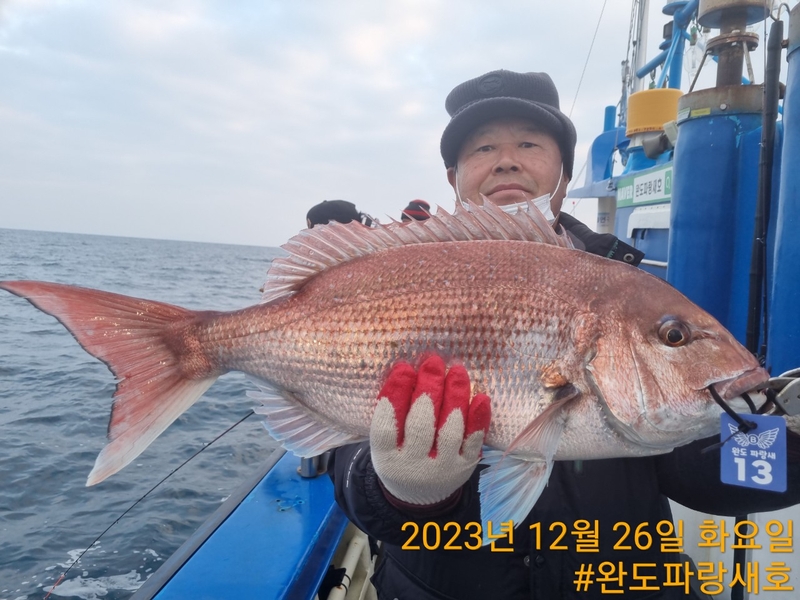완도파랑새호(블루버드호)의 조황일지 이미지 - 10