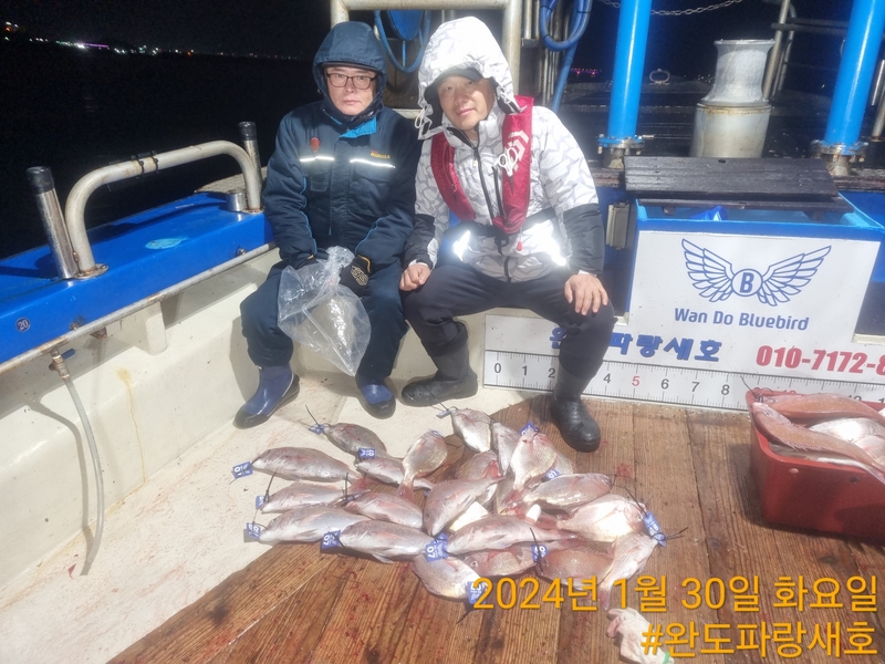 완도파랑새호(블루버드호)의 조황일지 이미지 - 6