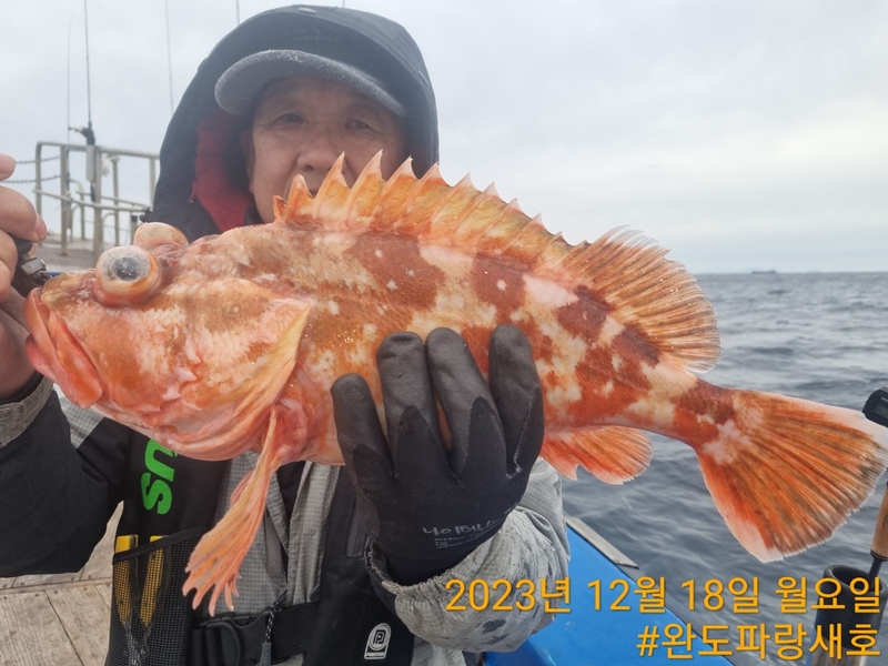 완도파랑새호(블루버드호)의 조황일지 이미지 - 11